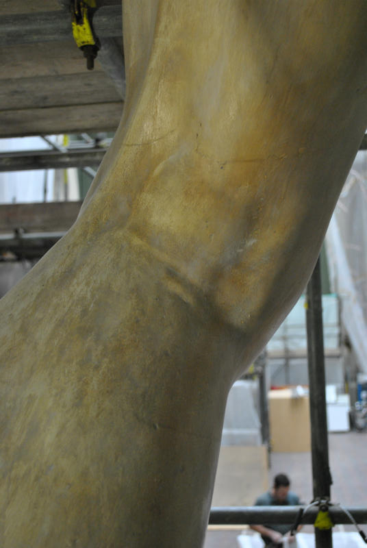 Back of David's left leg showing cracks above the knee.