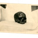 The Screaming Skull! Courtesy of Susanna Pinney