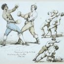 Watercolour of two boxers