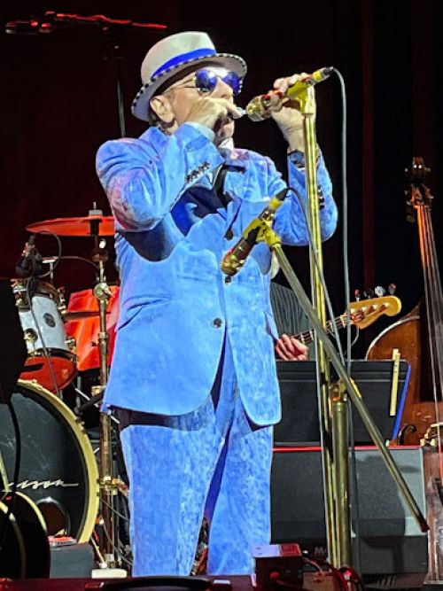 Shane Muir Concert Image