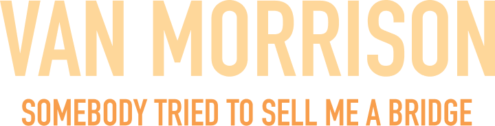 Somebody Tried to Sell Me a Bridge