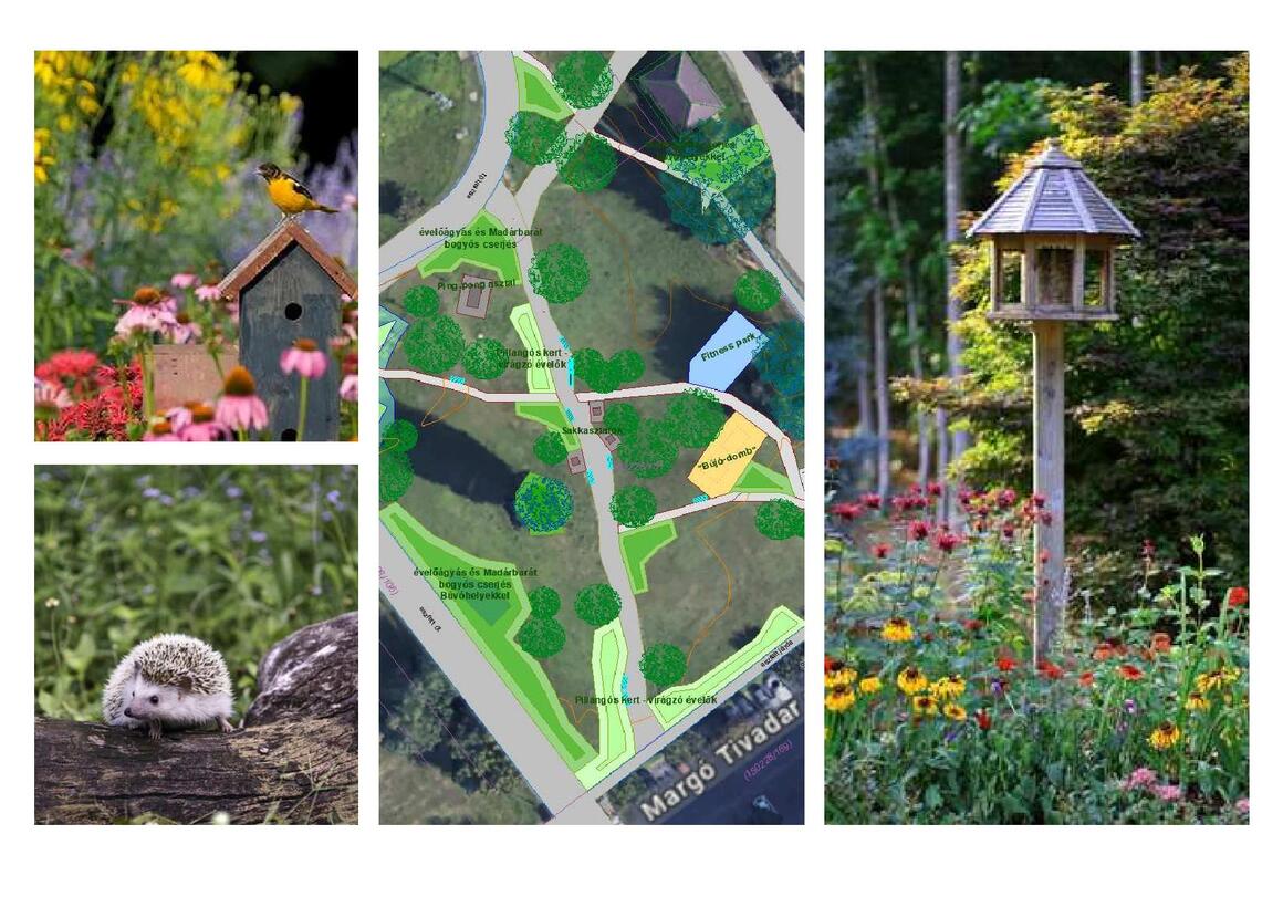 koncepciC3B3_C3B6sszefoglalC3B3-page-012