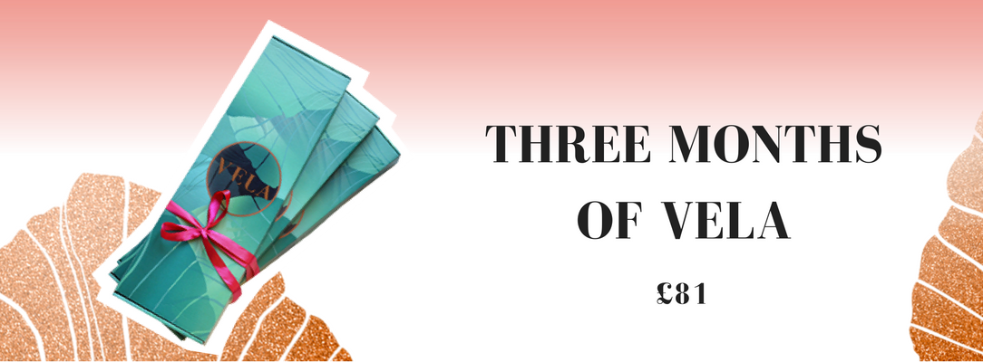 Three months letterbox flower subscription delivery Vela