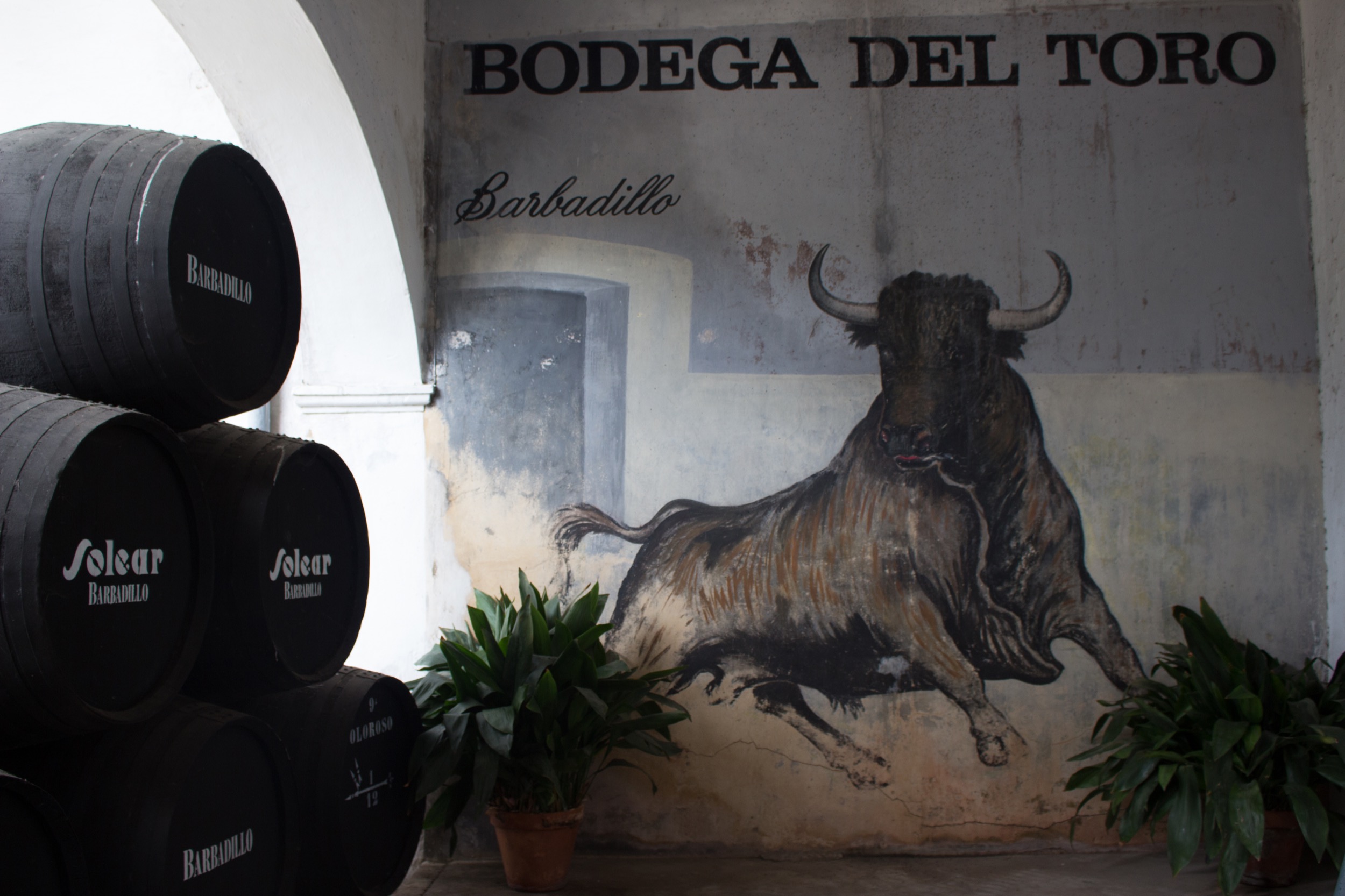 Bodega del Toro de Barbadillo Bodega del Toro de Barbadillo