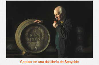 whisky cata vino