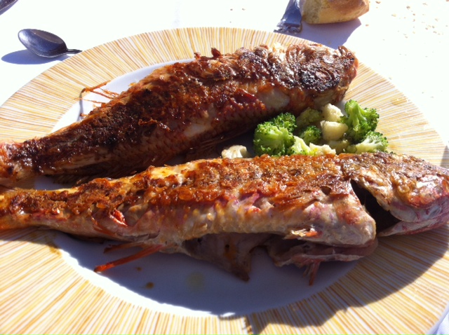 Salmonetes