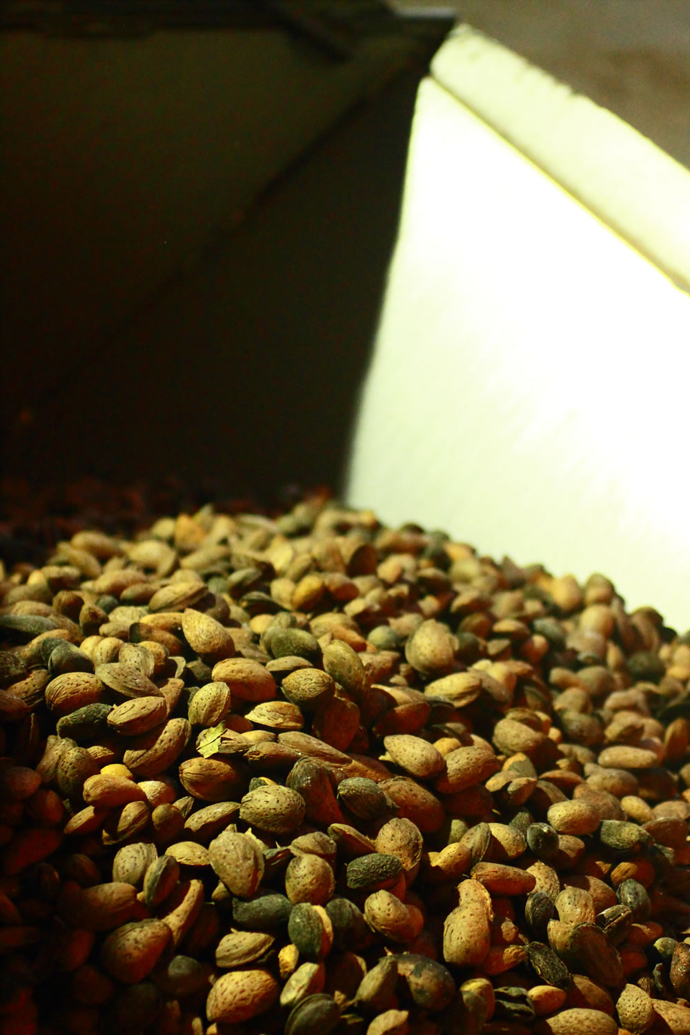 Más almendras