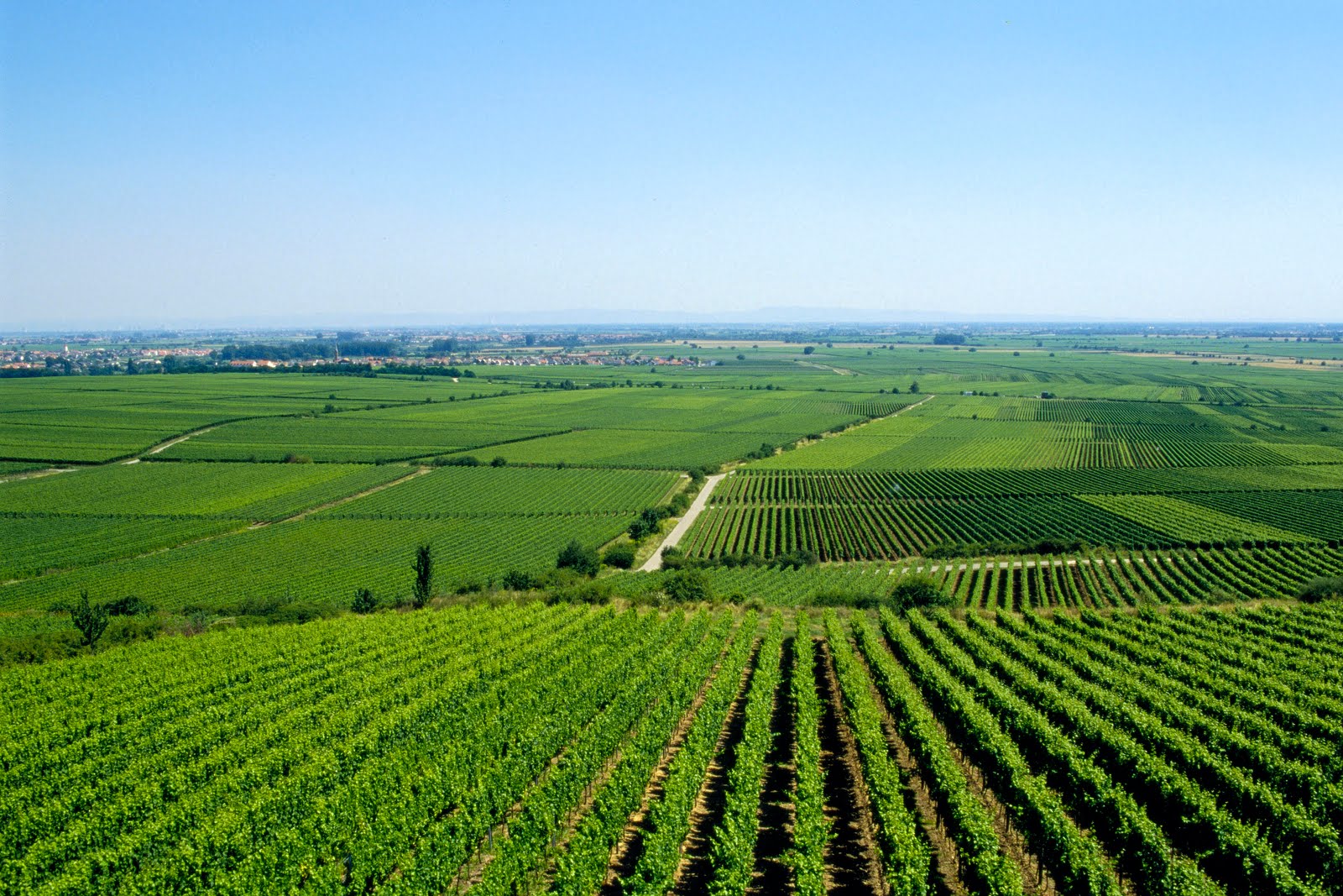 KreuzwortrГ¤tsel Rheinland Pfalz KreuzwortrГ¤tsel Rheinland Pfalz