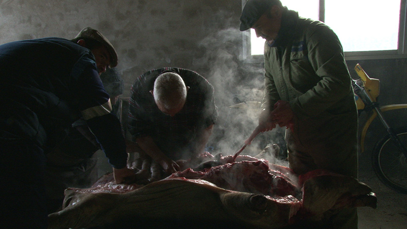 Matanza
