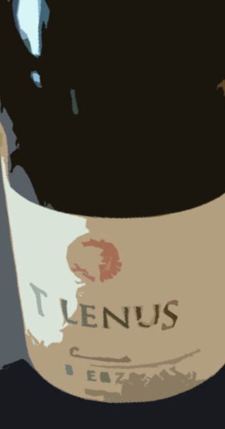Vino_Tilenus_crianza_2006