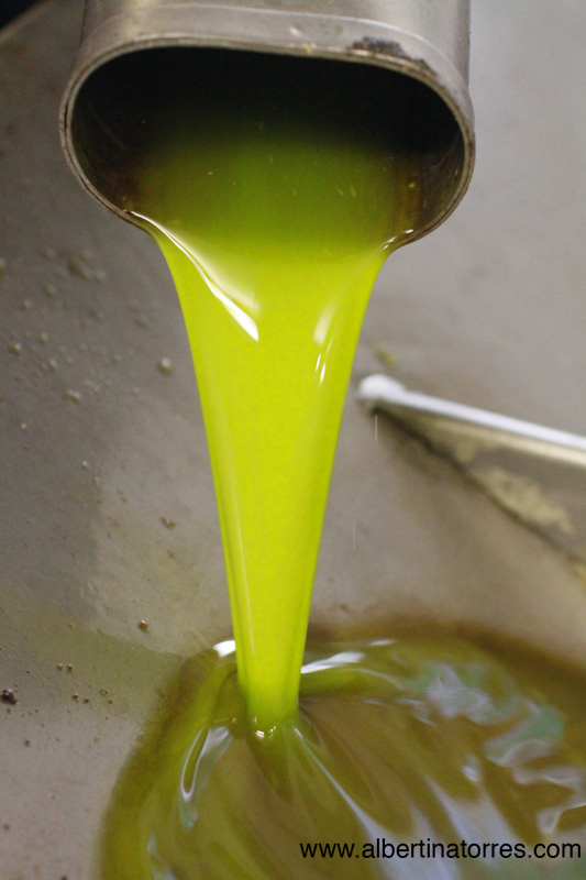 Aceite