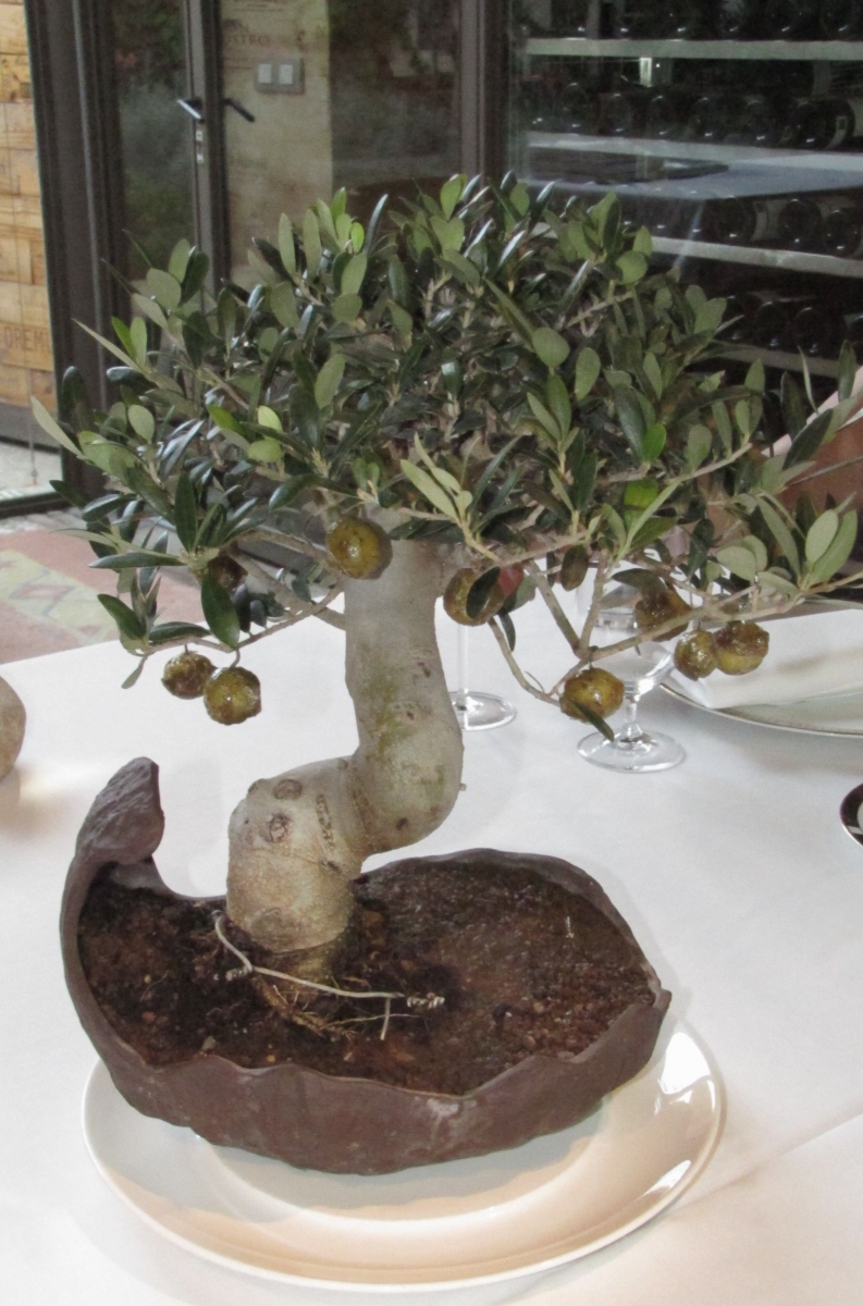 El Celler de Can Roca. Una experiencia casi perfecta