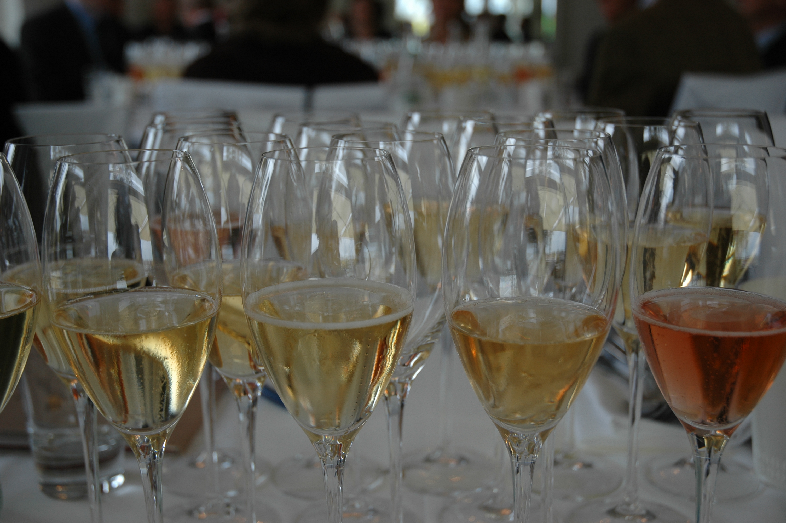 champagneprovning med Vinbankens sommelier