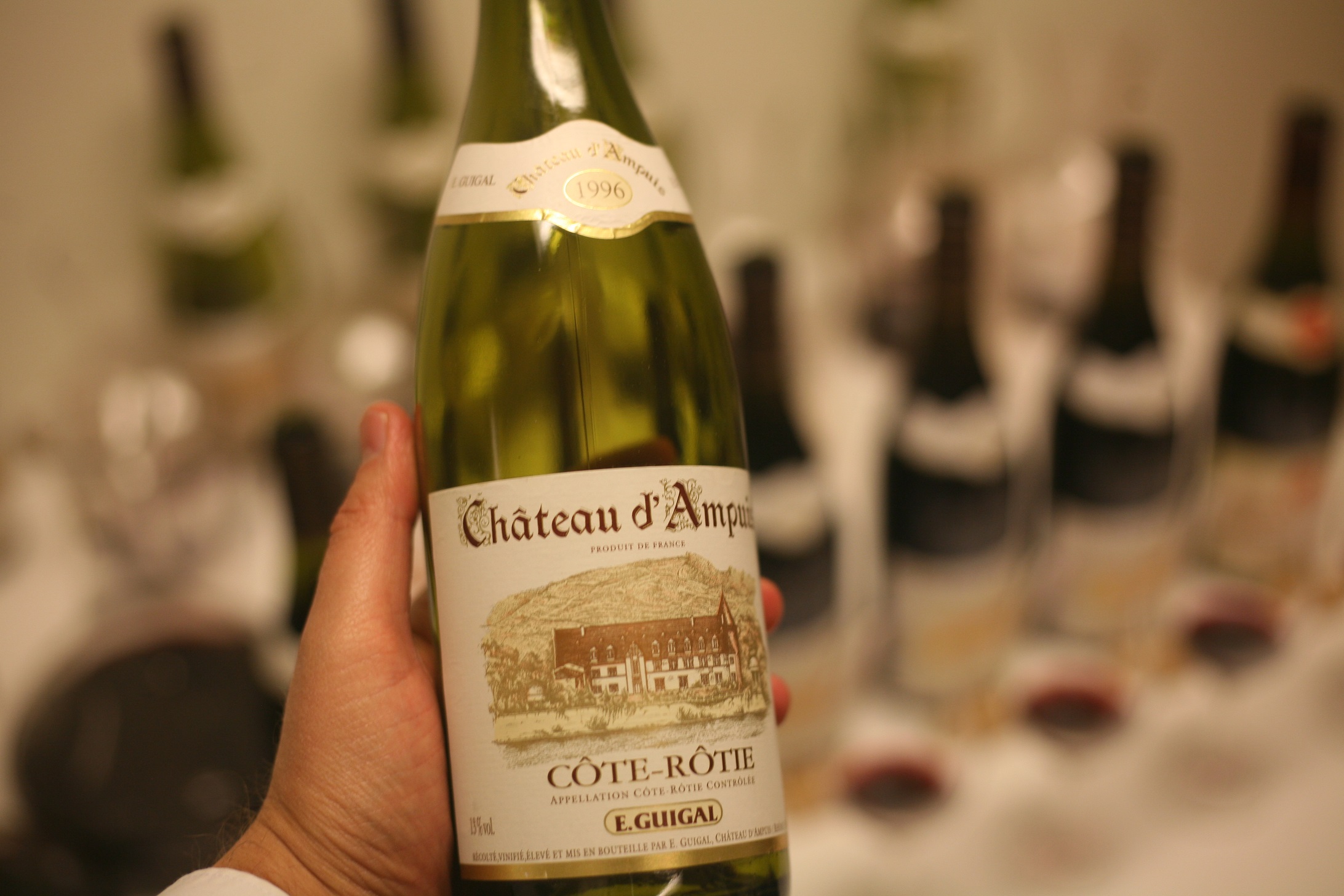 Chateau d'Ampuis