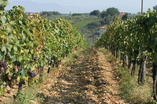 Resa-Toscana