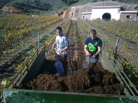 vineri i grotta