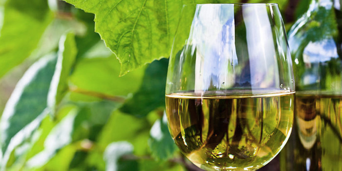 topp-10-vin-augusti-2016