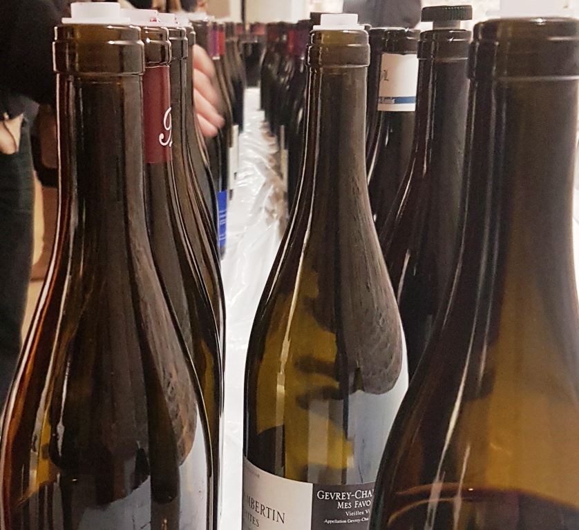argang-2016-i-bourgogne-gevrey-chambertin-recension-vinbanken