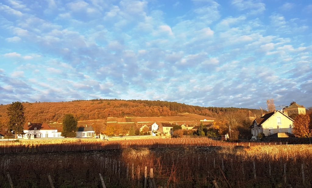 gevrey-chambertin-bourgogne-argang-2016-recenserad-vinbanken