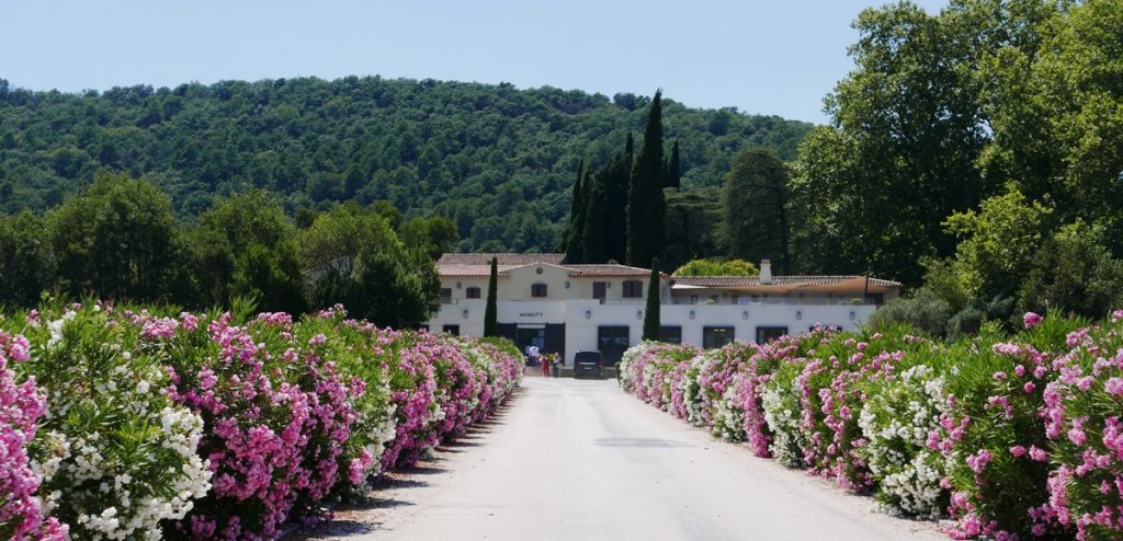 chateau-minuty-provence-for-rosevin-vinbanken