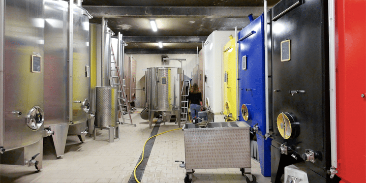 cellar-kallare-domaine-pattes-loup-chablis-vinbanken