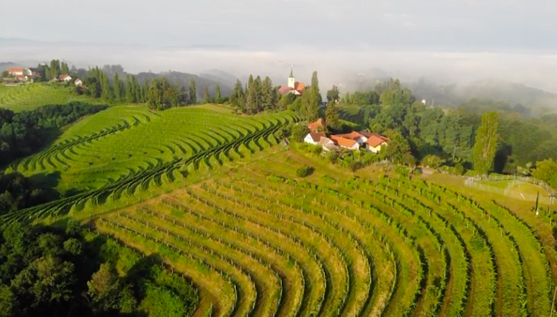 jeruzalem-ljutomer-ormoz-slovenia-verus-vineyards-vinbanken