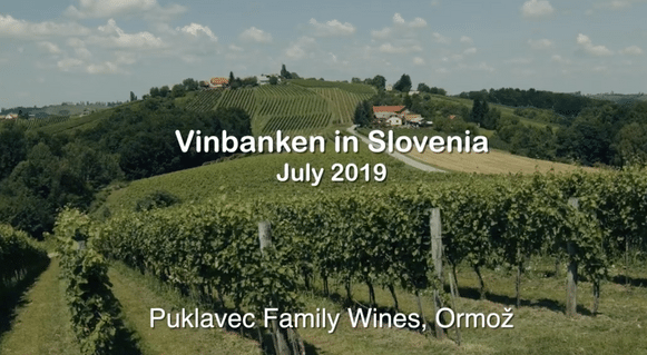 Puklavec-family-wines-ormoz-slovenia-vinbanken