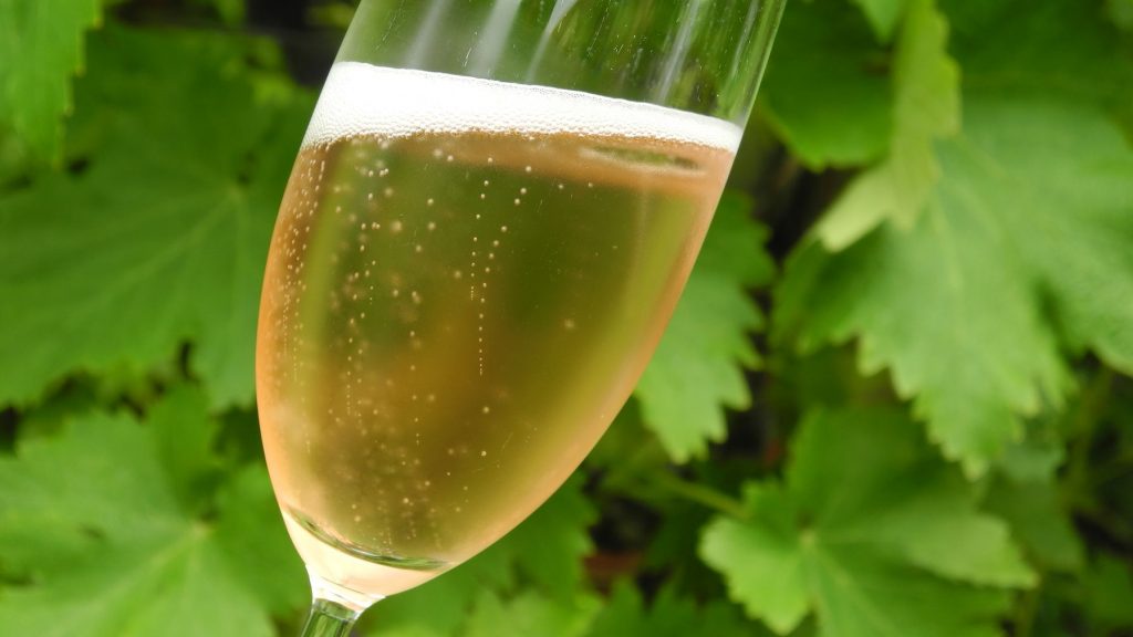 copy-elke-jung-vinbanken-tysk-sekt