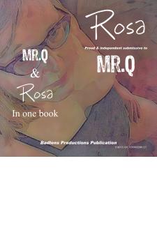 Boek cover Sub Rosa & Mr.Q