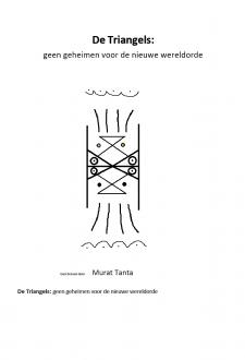 Boek cover De Triangels: geen geheimen voor de nieuwe wereldorde