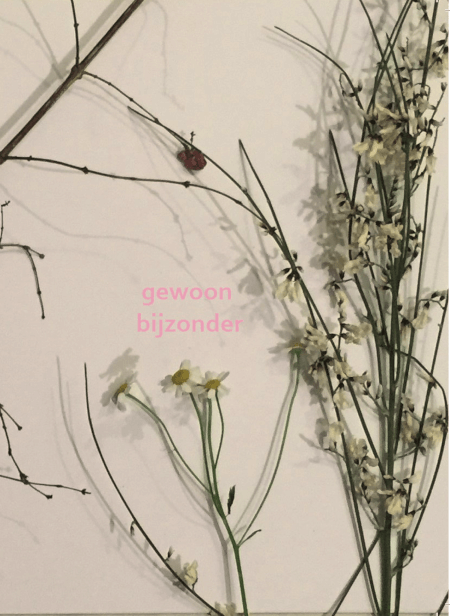Boek cover Gewoon Bijzonder