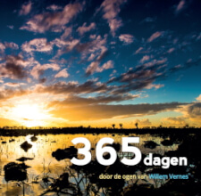 Boek cover 365dagen