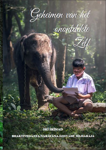 Boek cover Geheimen van het onontdekte Zelf