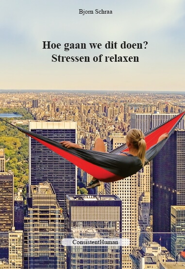 Boek cover Hoe gaan we dit doen?