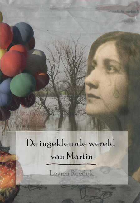 Boek cover De ingekleurde wereld van Martin