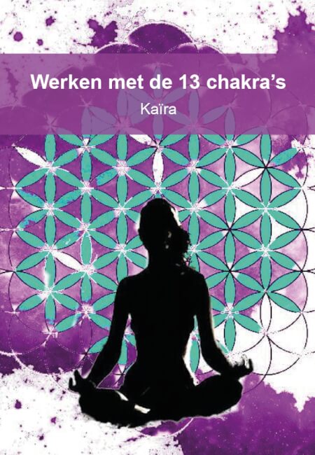 Boek cover Werken met de 13 chakra's