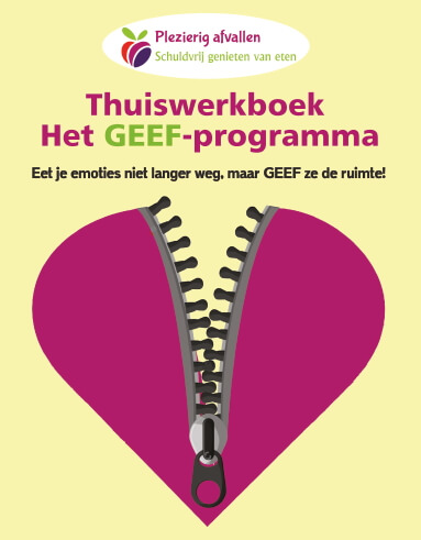 Boek cover thuiswerkboek zonder online coaching