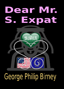 Boek cover Dear Mr. S. Expat