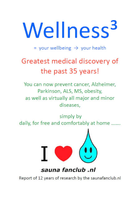 Boek cover Wellness³ in English