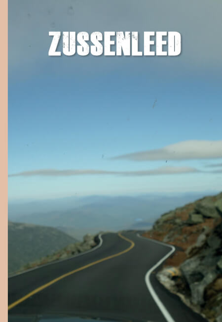 Boek cover Zussenleed