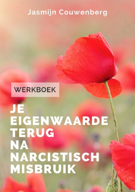 Boek cover Werkboek: Je eigenwaarde terug na narcistisch misbruik