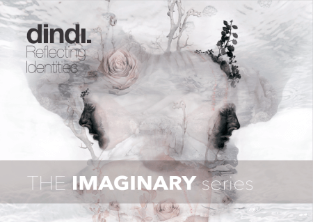 Boek cover The Imaginary Series - dindi. A5