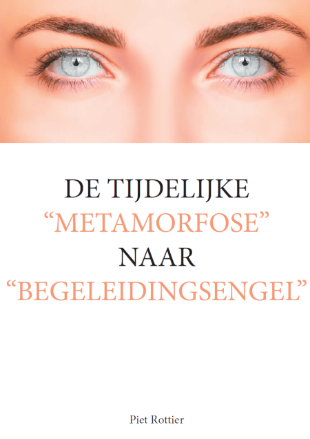 Boek cover DE TIJDELIJKE “METAMORFOSE” NAAR “BEGELEIDINGSENGEL”