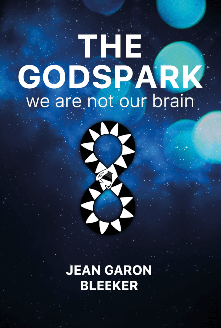 Boek cover The Godspark