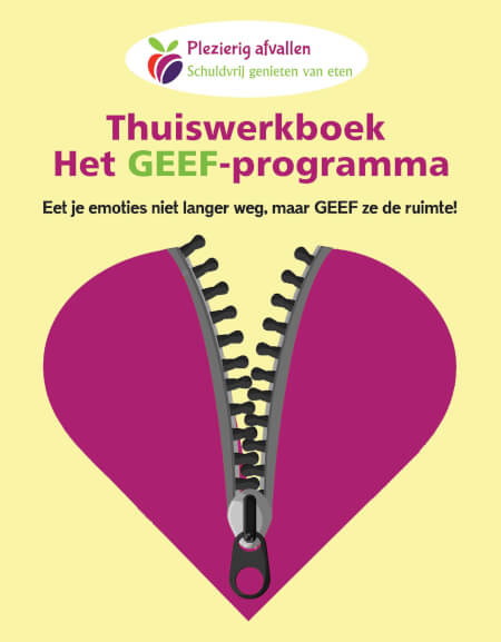 Boek cover Thuiswerkboek zonder online coaching, zonder GEEF-programma