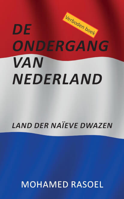 Boek cover De Ondergang van Nederland