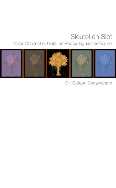 Boek cover Sleutel en Slot
