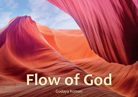 Boek cover Flow of God