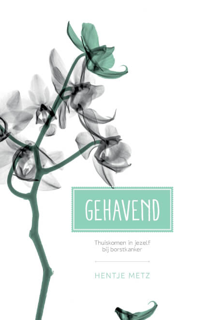 Boek cover Gehavend