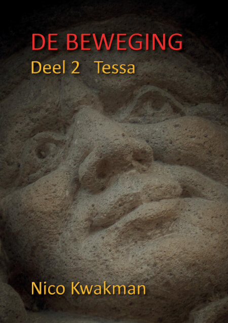 Boek cover De Beweging deel 2 Tessa